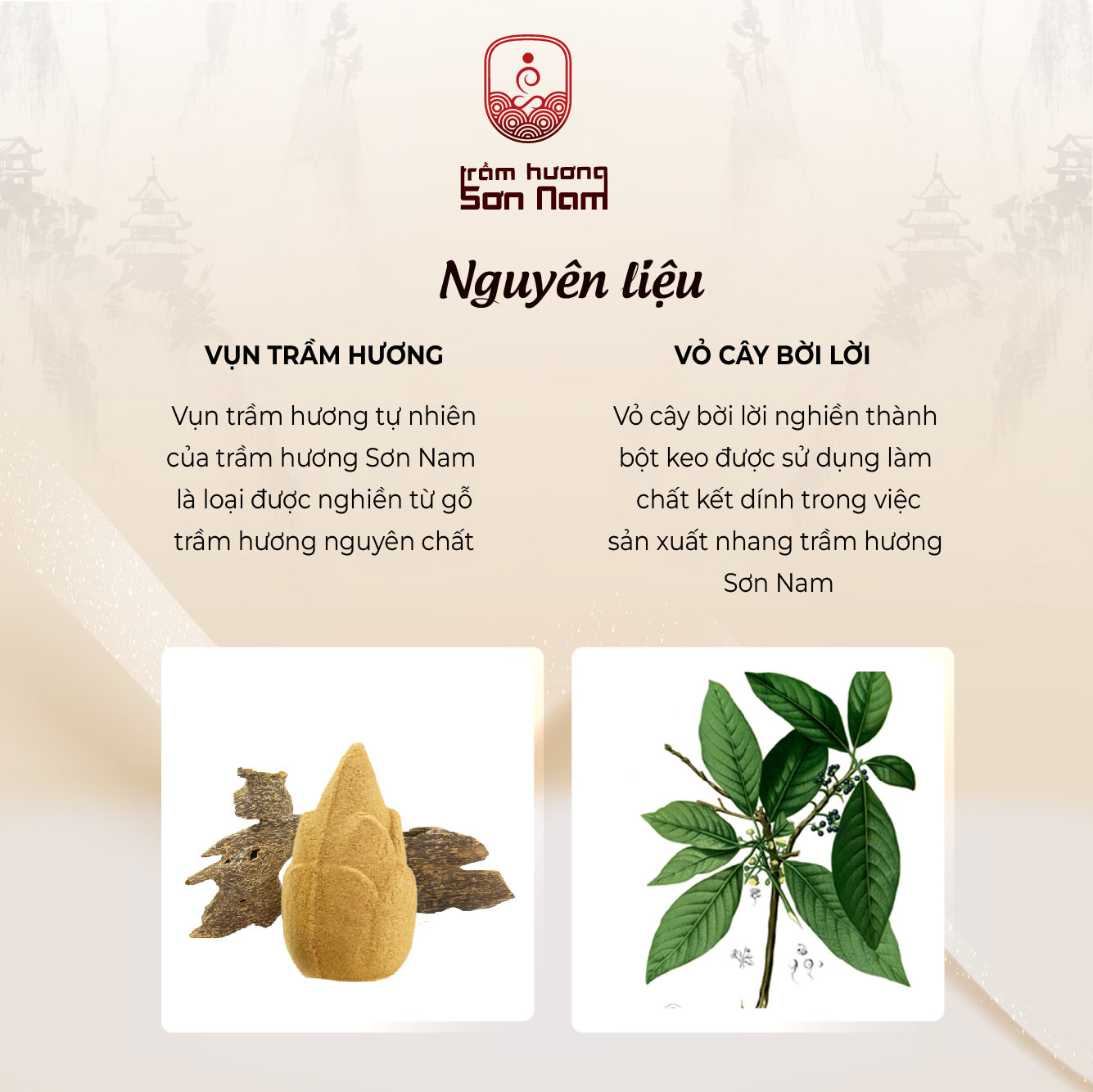nụ trầm hương búp măng nụ trầm hương búp măng