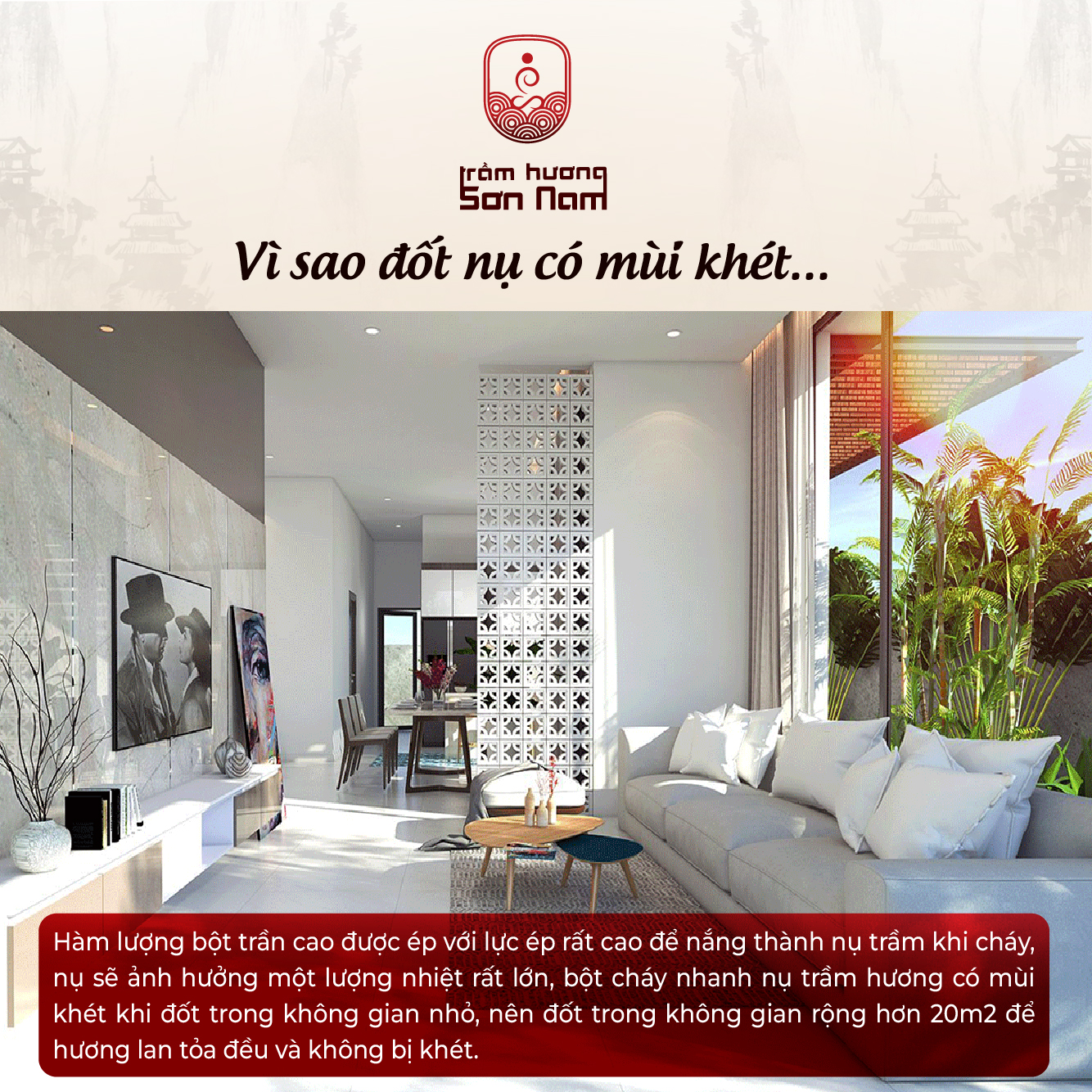 nụ trầm hương búp măng nụ trầm hương búp măng